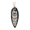 Sterling Silver Orthoceras Fossil Pendant