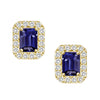 14kt Yellow gold .36ctw Sapphire .16ctw Diamond Halo Studs