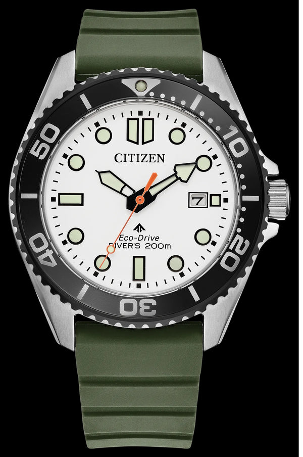 JCIT289 ECO DRIVE PROMASTER DI