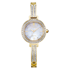 Citizen Eco Drive Goldtone Silhouette Watch EM0862-56D