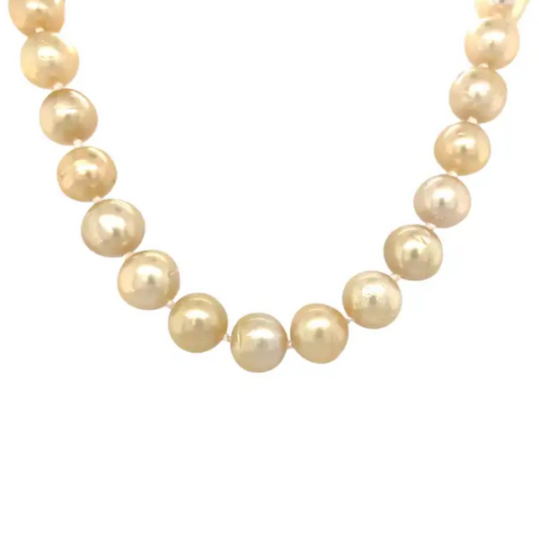 14K South Sea Golden Pearl Strand