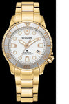 JCIT288 ECO DRIVE PROMASTER DI