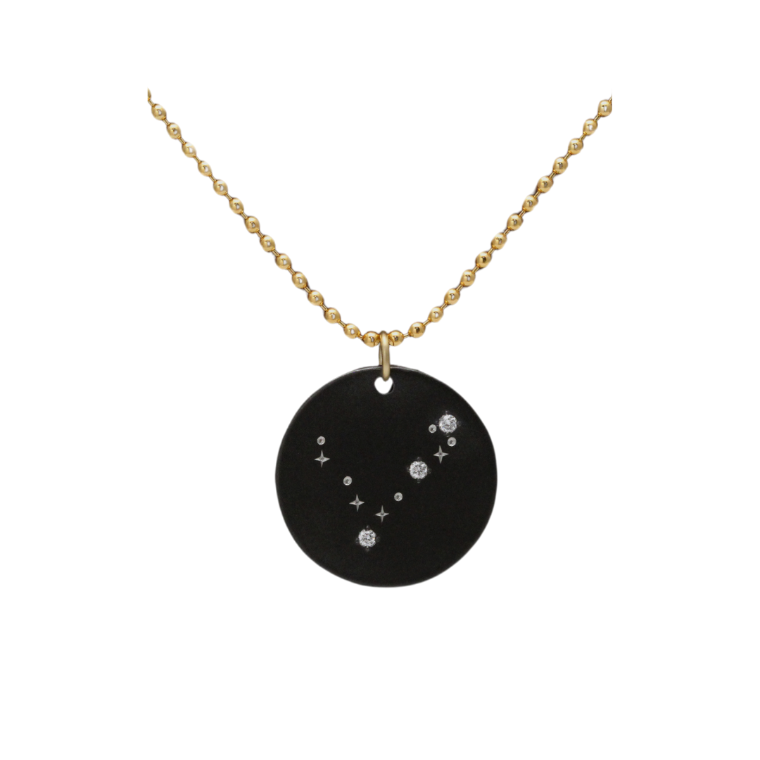 Zirconium Pisces Zodiac Lab Grown Diamond Disc Necklace with Gold Filled Chain