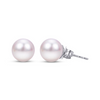 14kt White Gold 8-8.5mm Japanese Akoya Pearl Studs