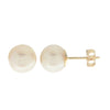 14K Yellow Gold 8MM Akoya Pearl Stud Earrings