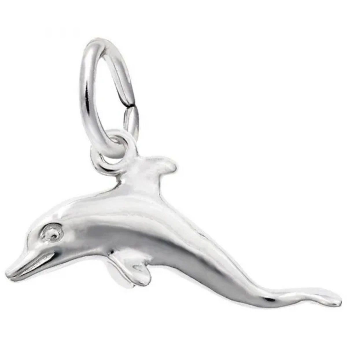 Sterling Silver Dolphin Charm