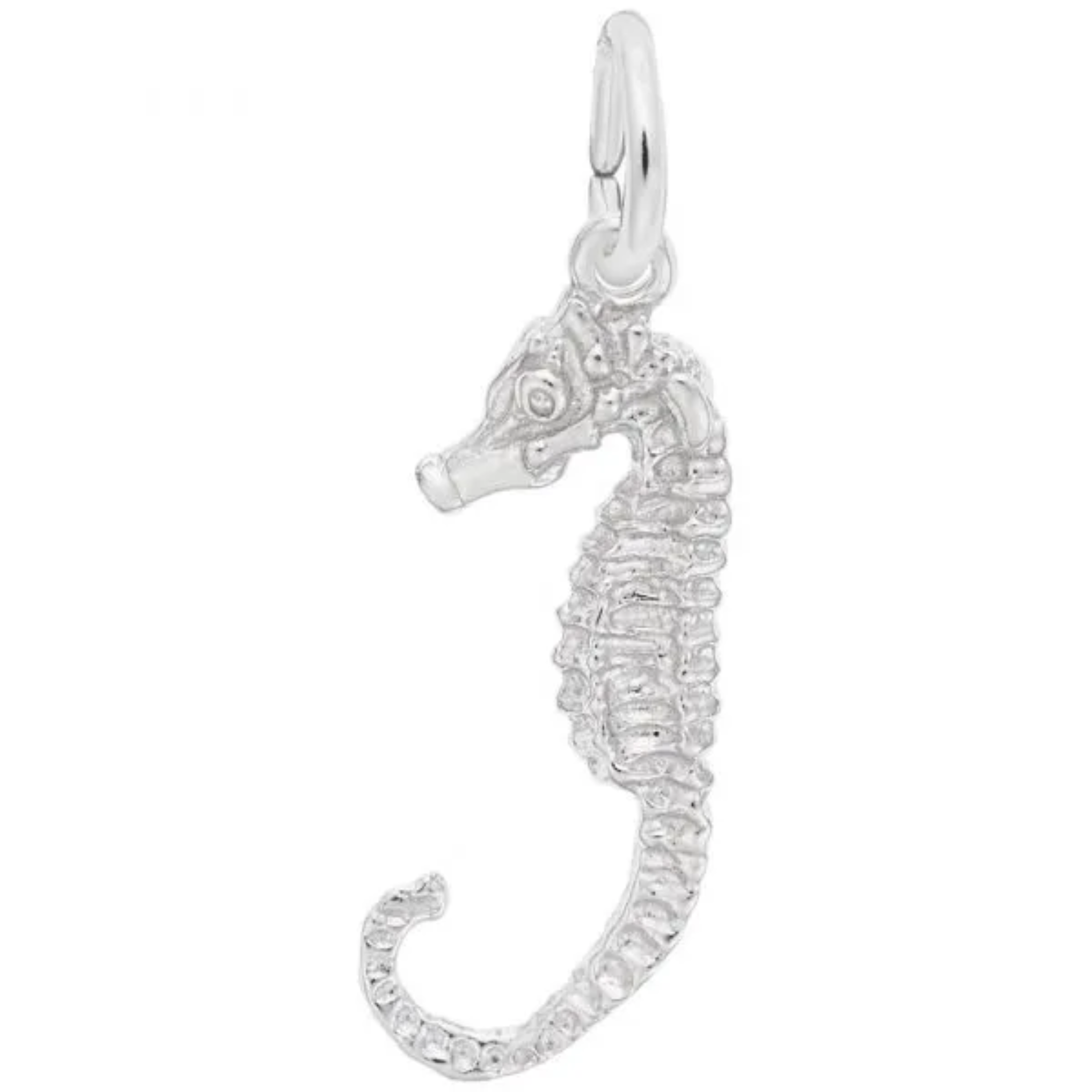 Sterling Silver Seahorse Charm