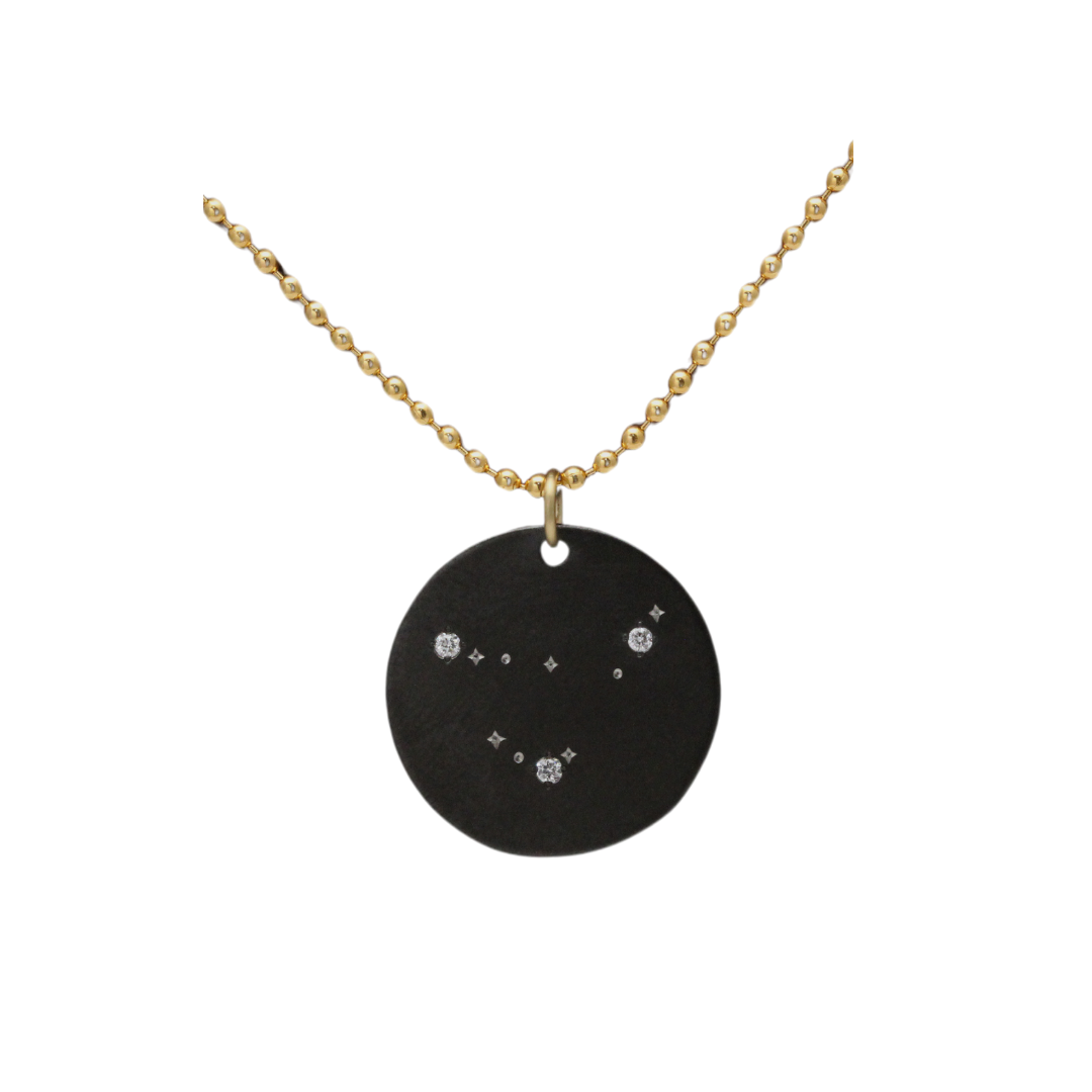 Zirconium Capricorn Zodiac Lab Grown Diamond Disc Necklace with Gold Filled Chain