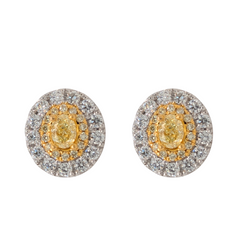 14K Two Tone Oval Natural Yellow & White Diamond Stud Earrings